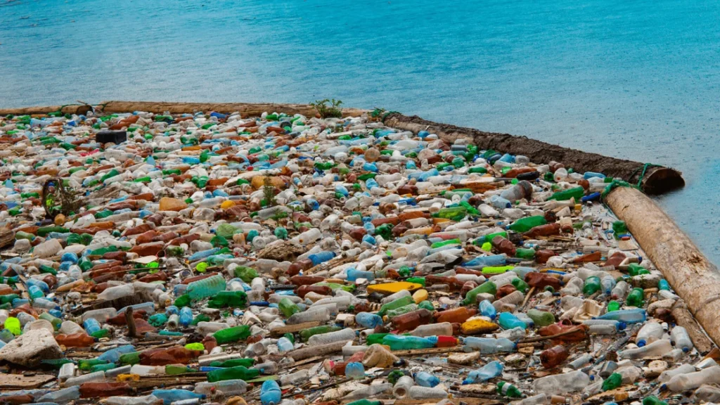 Reusable Bottles vs Plastic Bottles One Battle In The War On Waste